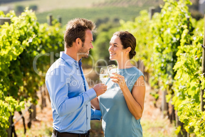 Young couple toasting wineglasses at vineyard