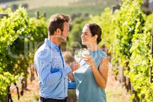 Young couple toasting wineglasses at vineyard