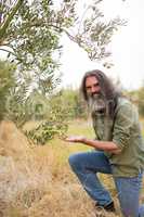 Portrait of happy farmer observing examining olive