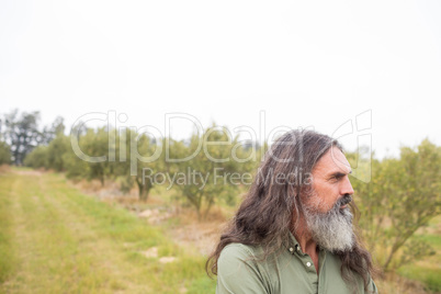 Thoughtful man standing in olive field