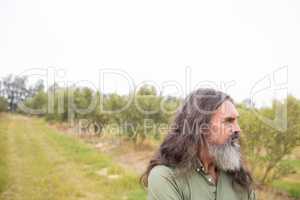 Thoughtful man standing in olive field