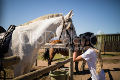 Girl kissing the white horse in the ranch
