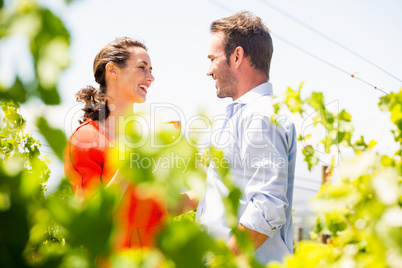 Smiling couple standing at vineyard