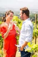 Couple toasting wine at vineyard