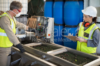 Technicians operating machine while processing olives