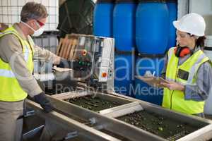 Technicians operating machine while processing olives