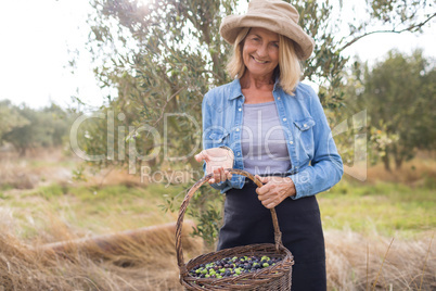 Portrait of happy of woman holding harvested olives in basket