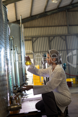 Female technician examining olive oil