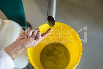 Technician examining olive oil produced from machine