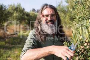 Portrait of happy man pruning olive tree in farm