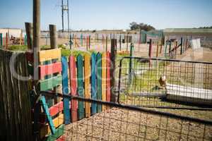 Fences in the ranch