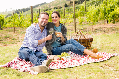 Portrait of couple holding wineglasses at vineyard