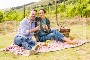 Portrait of couple holding wineglasses at vineyard