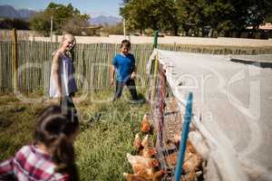 Kids looking at flock of hen grazing in the farm