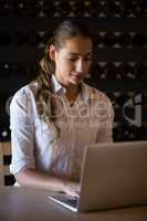Beautiful woman using laptop at counter