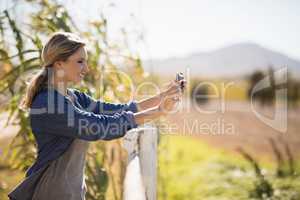 Woman taking selfie on mobile phone in park