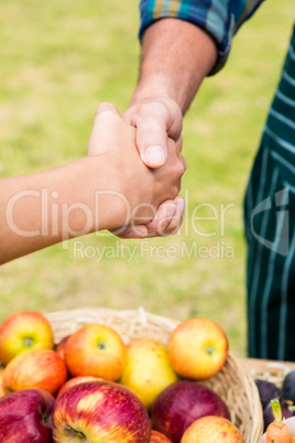Cropped image of customer shaking hand with man