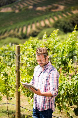 Smiling man using phone and tablet at vineyard