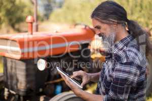 Man using digital tablet in olive farm