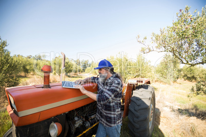 Man using laptop in olive farm