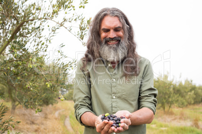 Man holding harvested olives in farm