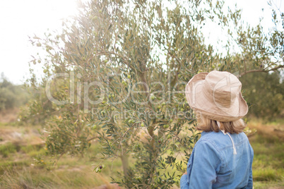 Thoughtful woman standing in olive farm