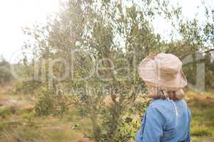 Thoughtful woman standing in olive farm