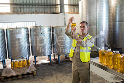 Male technician examining olive oil
