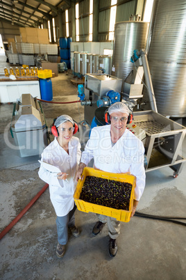 Portrait of happy technicians holding fresh olives in crate