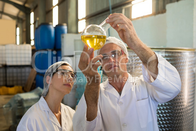 Technicians examining olive oil