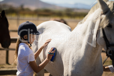 Girl grooming the horse in the ranch
