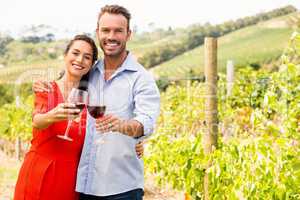 Portrait of happy couple toasting wine