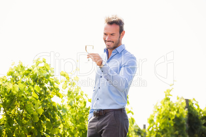 Smiling man holding wineglass against sky