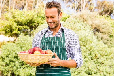 Young man looking at apples in basket