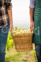 Cropped hands of man and woman holding apple basket at vineyard
