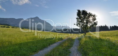 Morgen am Kaisergebirge