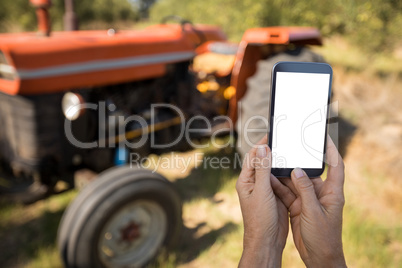 Woman using mobile phone in olive farm