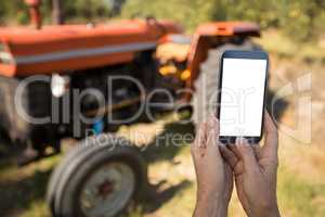 Woman using mobile phone in olive farm