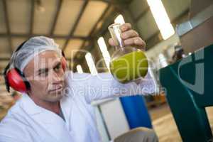 Technician examining olive oil produced from machine