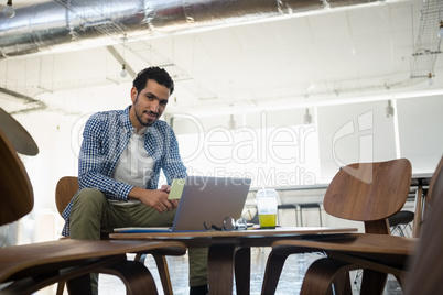 Portrait of businesswoman using laptop in office