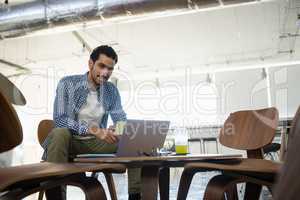 Portrait of businesswoman using laptop in office