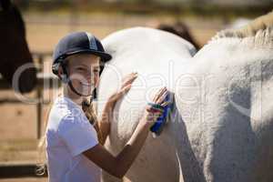 Girl grooming the horse in the ranch