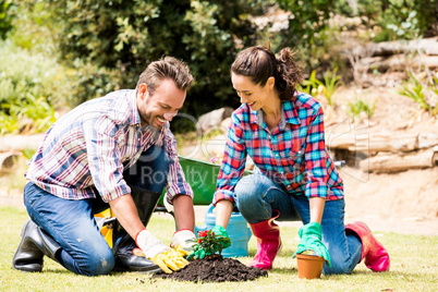 Smiling couple planting at lawn