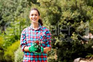 Portrait of beautiful woman holding potted plant