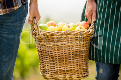 Cropped hands of man and woman holding apple basket