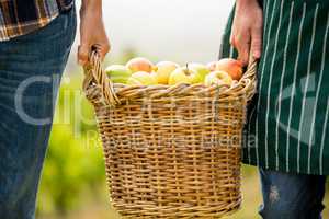 Cropped hands of man and woman holding apple basket