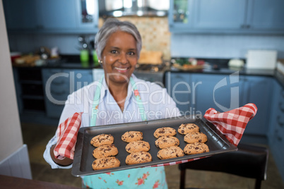 High angle view of woman showing prepared cookies