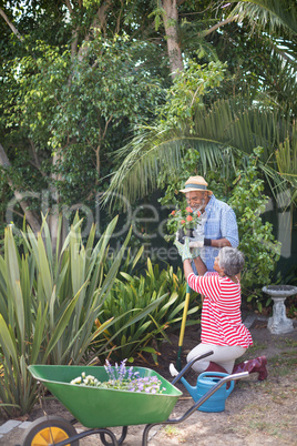 Side view of woman giving flowers to man during plantation