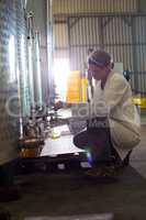 Female technician examining olive oil