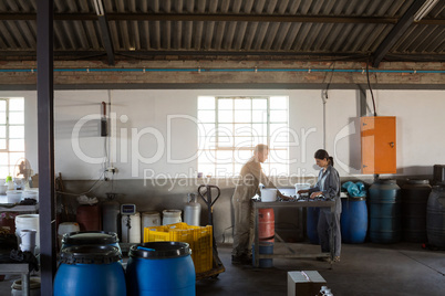 Workers checking a harvested olives in factory